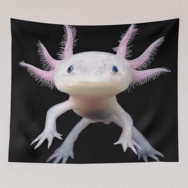 Item preview, axolot designed and sold by pksart1.
