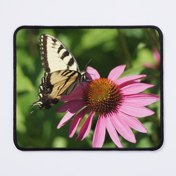 Item preview, swallowtail on coneflower designed and sold by distracted.
