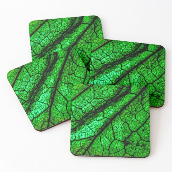 Item preview, Husk of tomatillo designed and sold by RamonYrizarris.