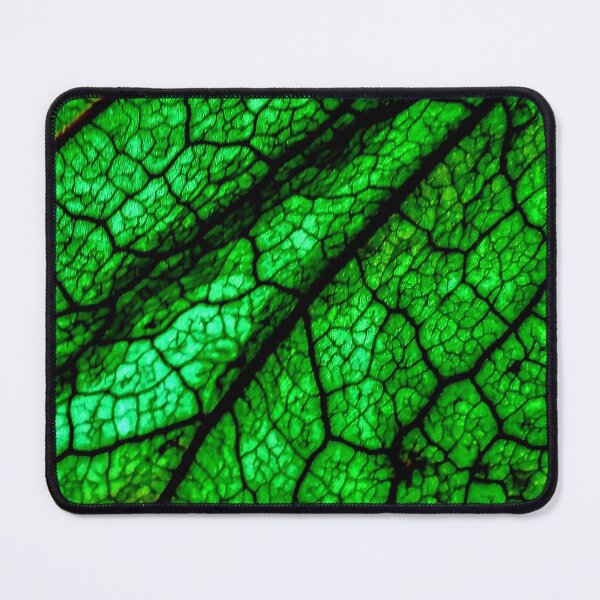 Item preview, Husk of tomatillo designed and sold by RamonYrizarris.