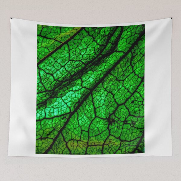 Item preview, Husk of tomatillo designed and sold by RamonYrizarris.
