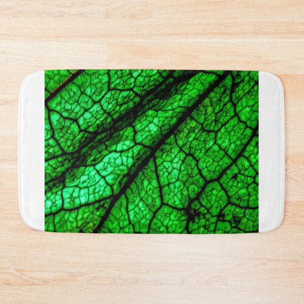 Item preview, Husk of tomatillo designed and sold by RamonYrizarris.