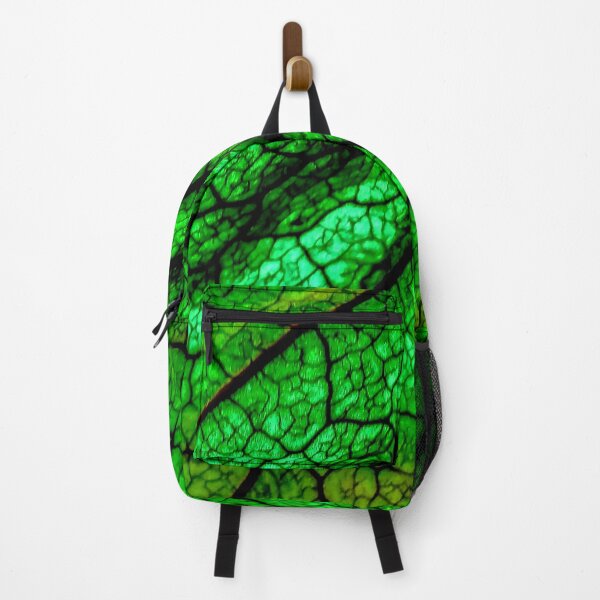 Item preview, Husk of tomatillo designed and sold by RamonYrizarris.