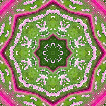 Artwork thumbnail, Spring-filled Abstract Pattern by Ever-Shop