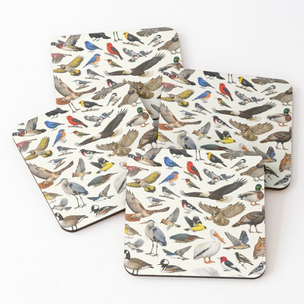 Item preview, Native Birds of Minnesota Retro Style Identification Chart designed and sold by kakarikihill.