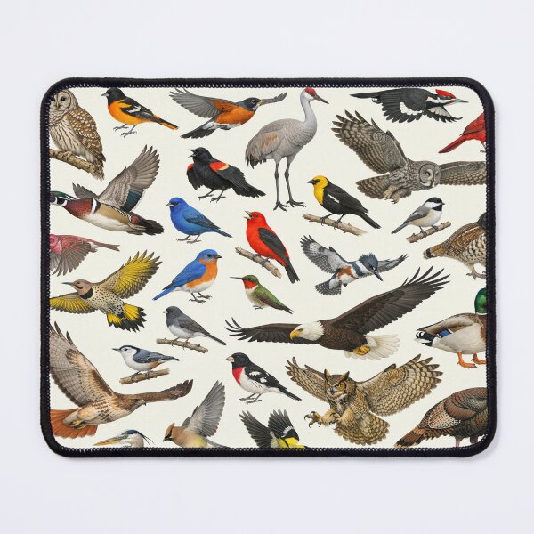 Item preview, Native Birds of Minnesota Retro Style Identification Chart designed and sold by kakarikihill.