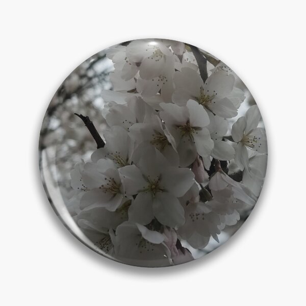 Item preview, White Cherry Blossoms designed and sold by SCTBUFFALOPHOTO.