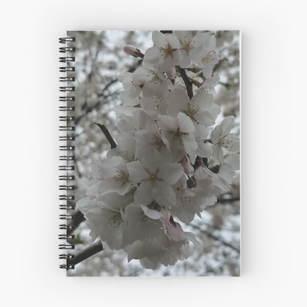Item preview, White Cherry Blossoms designed and sold by SCTBUFFALOPHOTO.