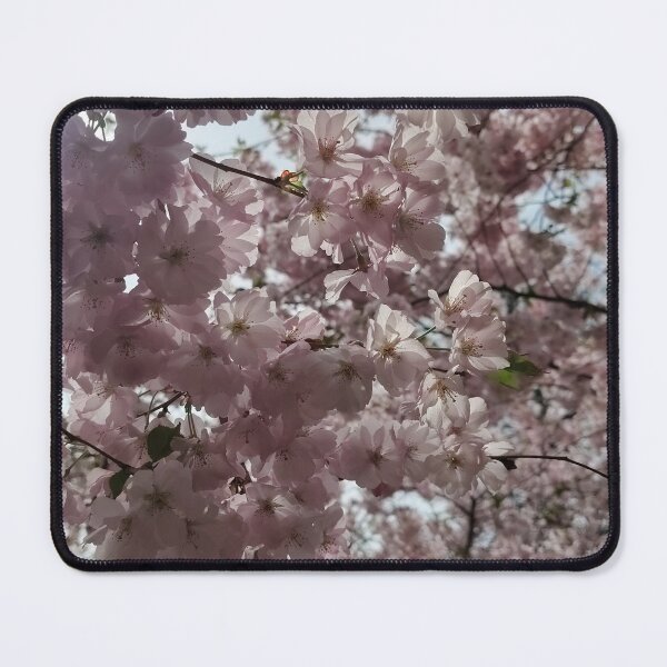 Item preview, Basking in Blossoms designed and sold by SCTBUFFALOPHOTO.