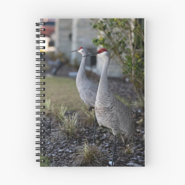 Item preview, Guardians of the Quiet designed and sold by thenoticingplace.
