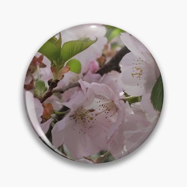Item preview, Blossom Production   designed and sold by SCTBUFFALOPHOTO.
