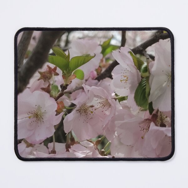 Item preview, Blossom Production designed and sold by SCTBUFFALOPHOTO.