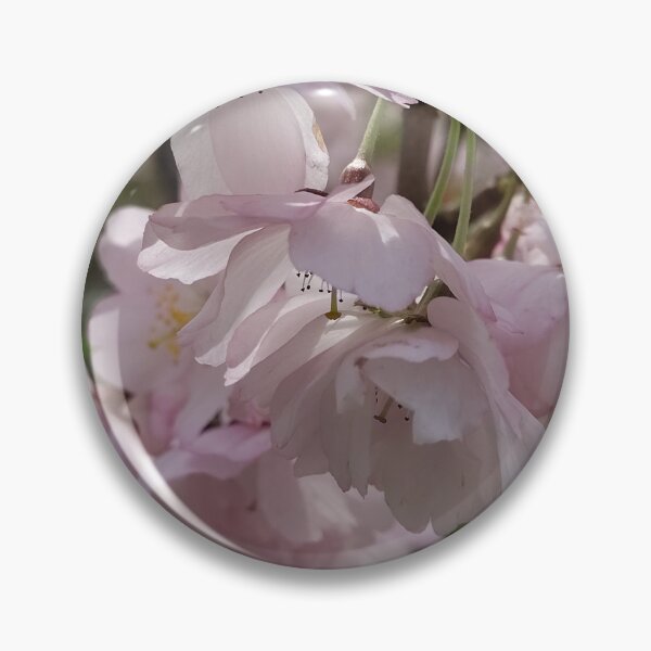 Item preview, Cherry Blossom Concerto  designed and sold by SCTBUFFALOPHOTO.