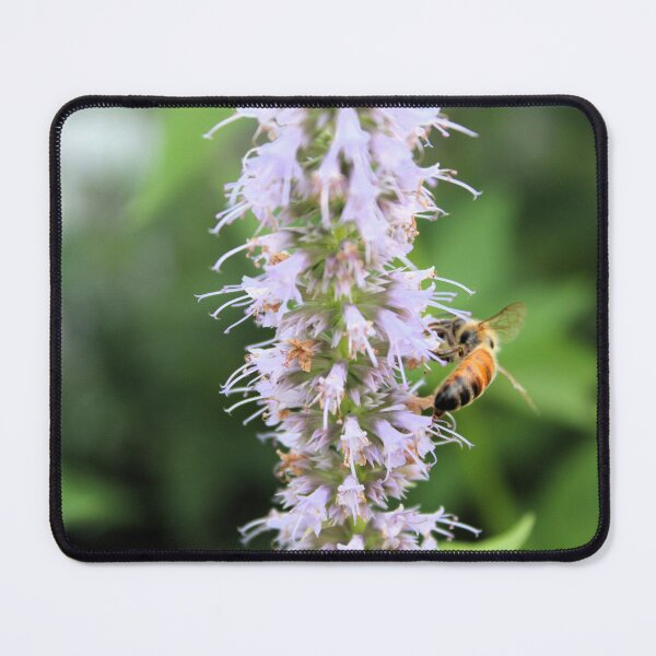 Item preview, Bee at Work designed and sold by Birds & Beans Photography.