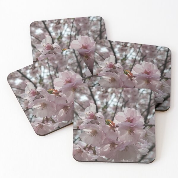Item preview, Radiance Meets   designed and sold by SCTBUFFALOPHOTO.