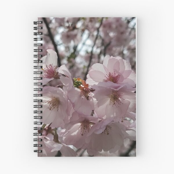 Item preview, Radiance Meets   designed and sold by SCTBUFFALOPHOTO.