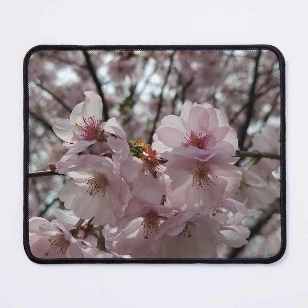 Item preview, Radiance Meets designed and sold by SCTBUFFALOPHOTO.