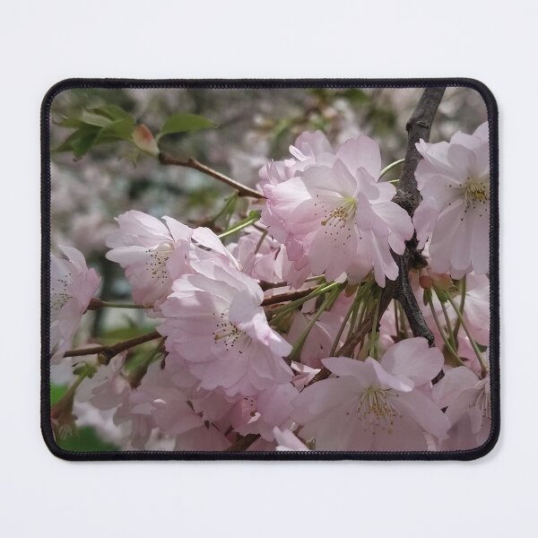 Item preview, Sacred Spring designed and sold by SCTBUFFALOPHOTO.