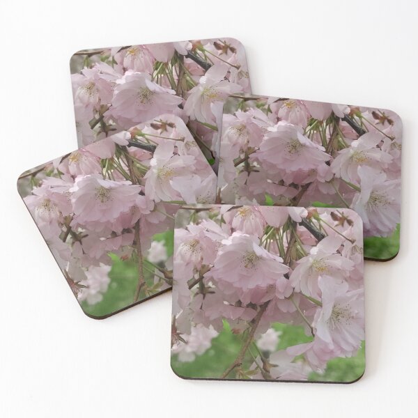 Item preview, Spring Vigil designed and sold by SCTBUFFALOPHOTO.