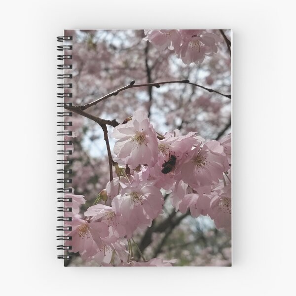 Item preview, Bee and Pink Cherry Blossoms    designed and sold by SCTBUFFALOPHOTO.