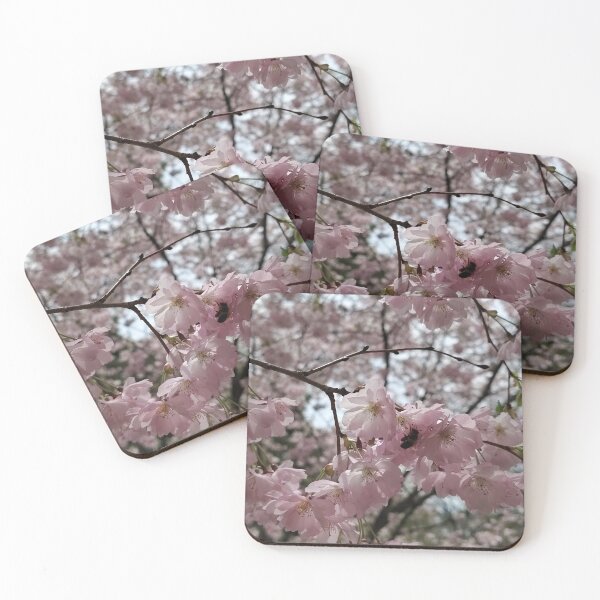 Item preview, Bee and Pink Cherry Blossoms    designed and sold by SCTBUFFALOPHOTO.