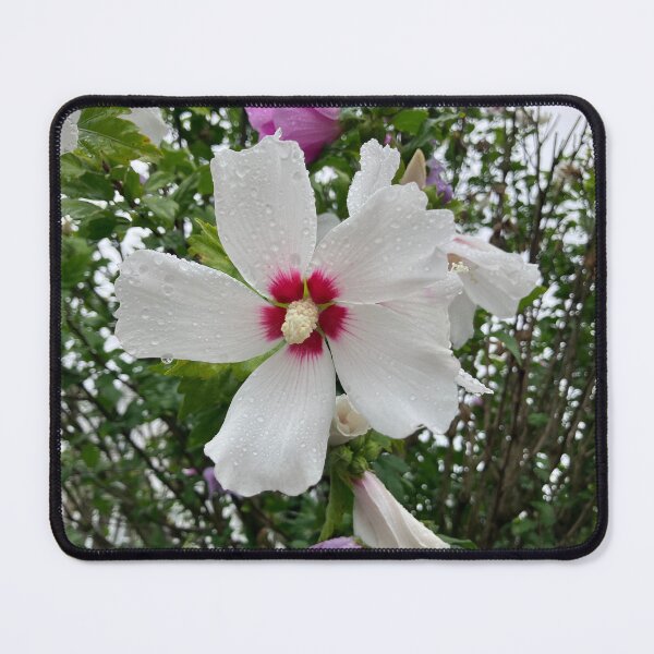 Item preview, Hibiscus designed and sold by Amanda1775.