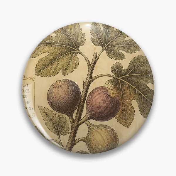 Item preview, Heirloom Fig Poster | Ficus Carica Vintage Botanical | Sweet Rich Heritage Seeds designed and sold by FestivityFinds.