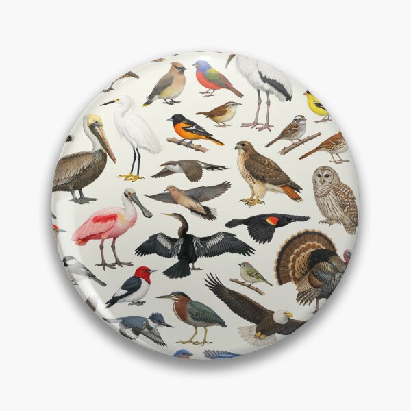 Item preview, Native Birds of Mississippi Retro Style Identification Chart designed and sold by kakarikihill.