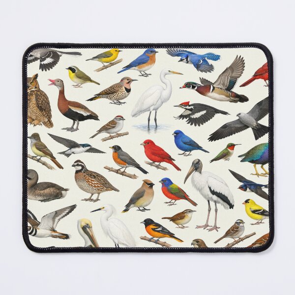Item preview, Native Birds of Mississippi Retro Style Identification Chart designed and sold by kakarikihill.