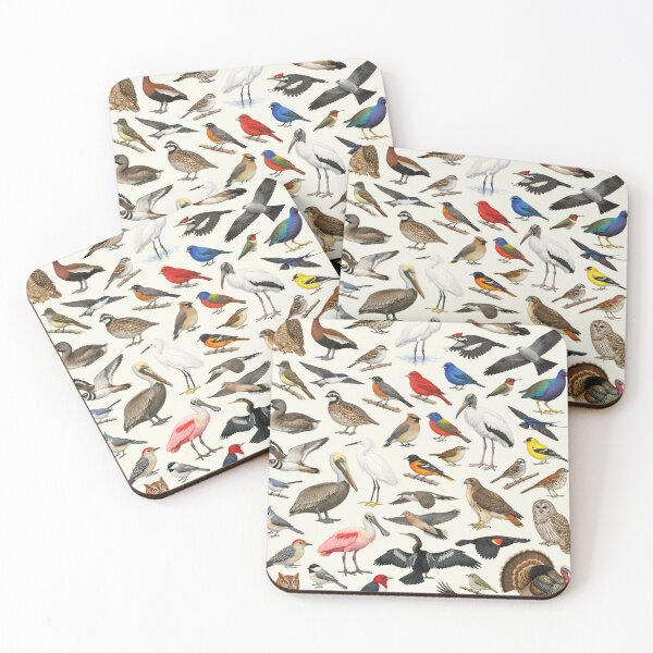 Item preview, Native Birds of Mississippi Retro Style Identification Chart designed and sold by kakarikihill.