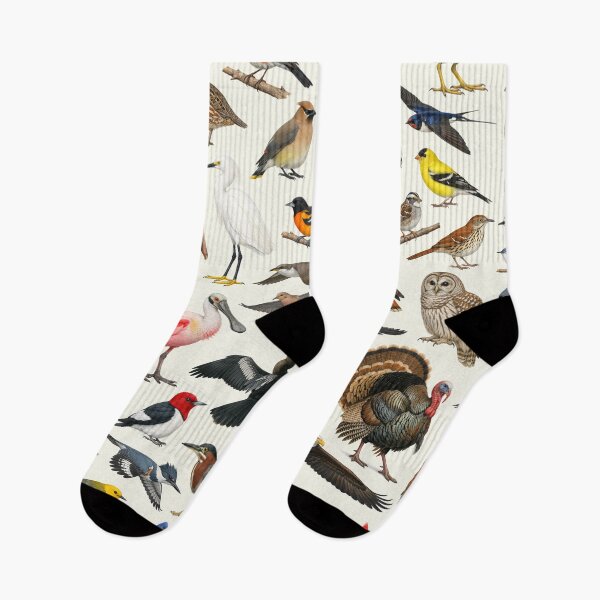 Item preview, Native Birds of Mississippi Retro Style Identification Chart designed and sold by kakarikihill.