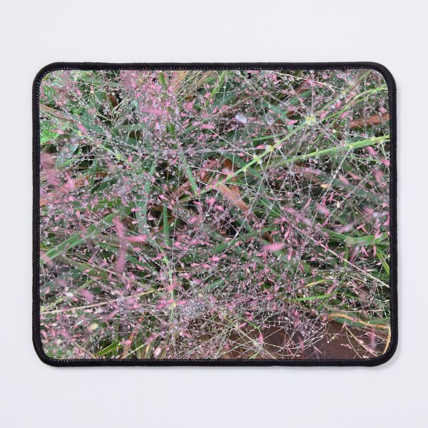 Item preview, Ornamental Grass (hairawn muhly) in the Rain designed and sold by Amanda1775.