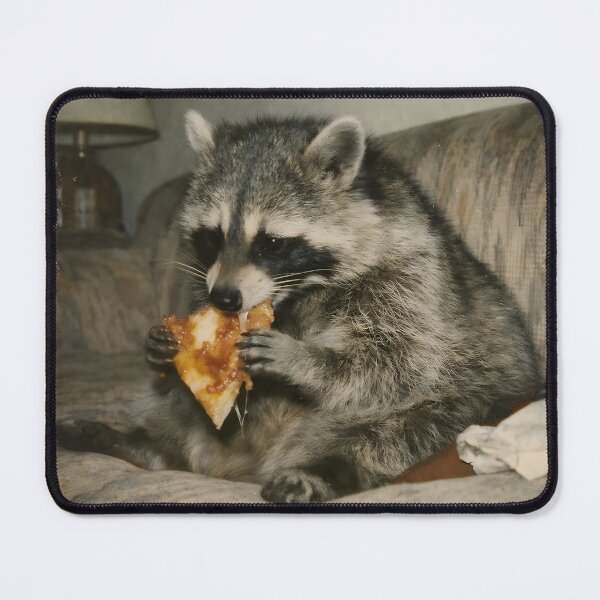 Item preview, Raccoon Eating Pizza Wall Art | Whimsical Food-Loving Wildlife Portrait | Retro Photography Aesthetic Vintage Print designed and sold by PaintedPixels01.