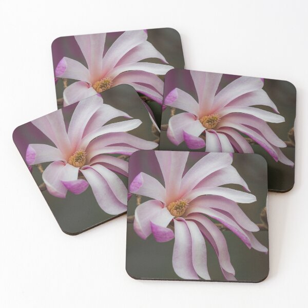 Item preview, Elegant Pink and White Magnolia Flower Bloom in Macro Detail designed and sold by NorthWild.