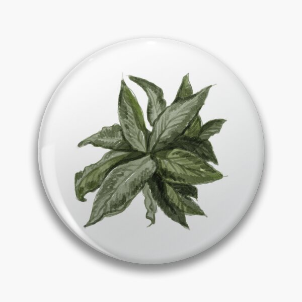 Item preview, Dense Long-Leaf Green Shrub Architectural Site Plan Graphic designed and sold by zanaxxer.
