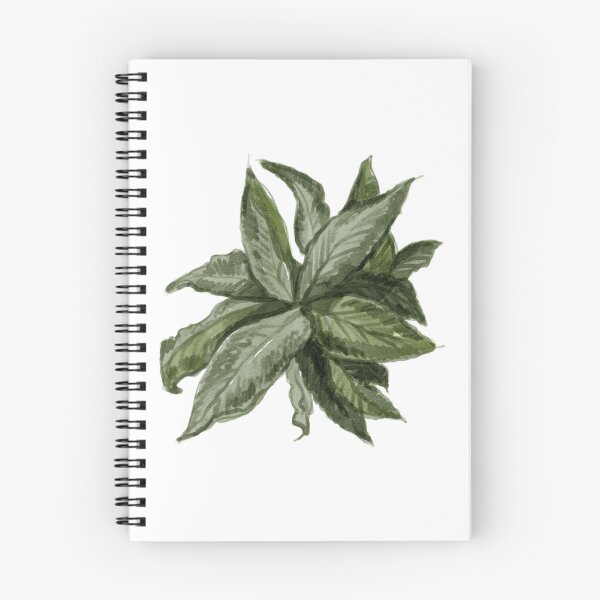 Item preview, Dense Long-Leaf Green Shrub Architectural Site Plan Graphic designed and sold by zanaxxer.