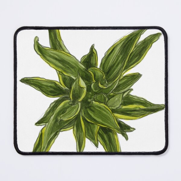 Item preview, Top View Digital Illustration of Pointed Variegated Shrub designed and sold by zanaxxer.