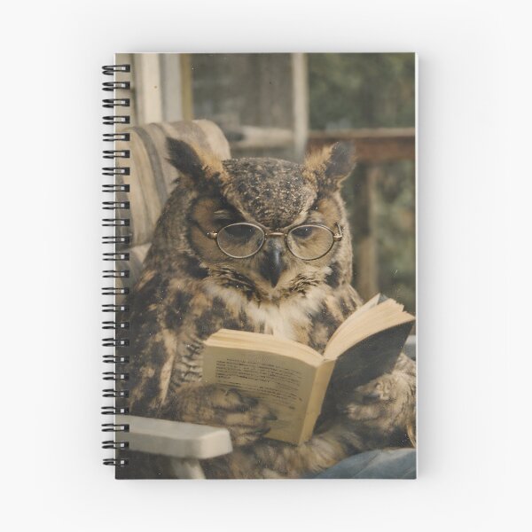 Item preview, Wise Owl Reading a Book Wall Art | Scholarly Owl Wearing Glasses | Retro Photography Aesthetic Vintage Print designed and sold by PaintedPixels01.