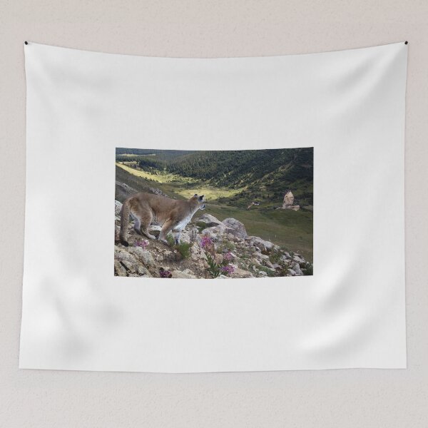 Item preview, High And Wild designed and sold by Bill Stephens.