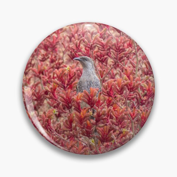 Item preview, Little Wattlebird & Kangaroo Paws designed and sold by Amy Akers.