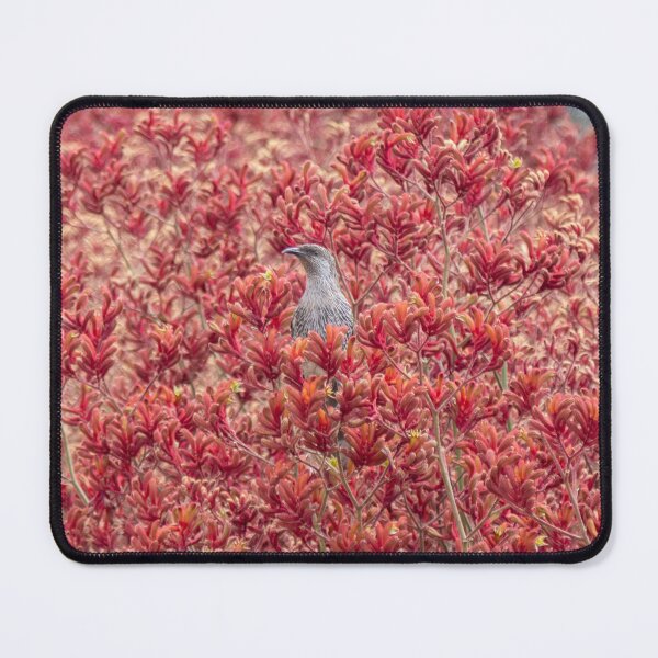 Item preview, Little Wattlebird & Kangaroo Paws designed and sold by Amy Akers.