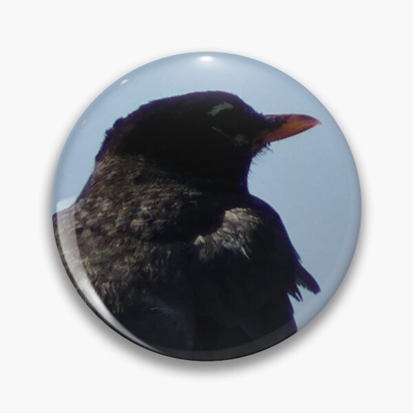 Item preview, American Robin resting on Roof designed and sold by WilesNailsPower.