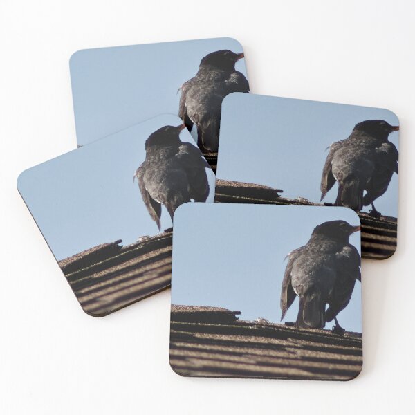 Item preview, American Robin resting on Roof designed and sold by WilesNailsPower.