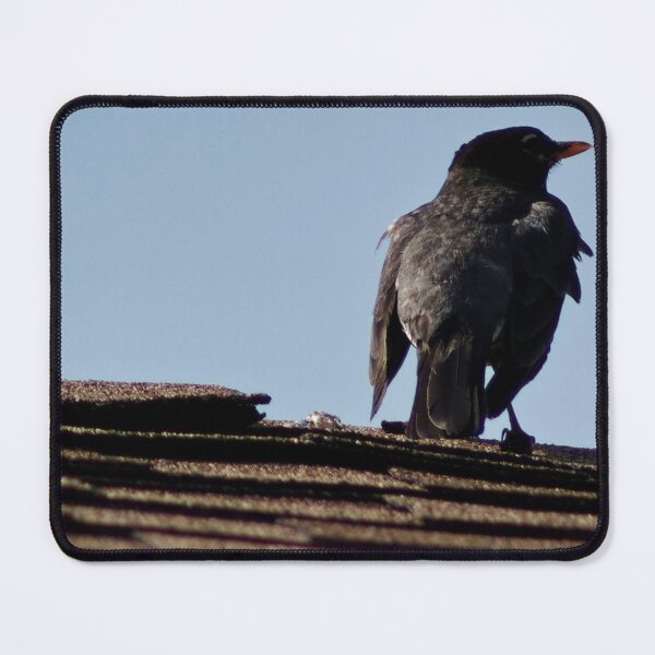 Item preview, American Robin resting on Roof designed and sold by WilesNailsPower.