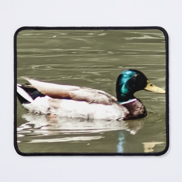 Item preview, Drake Duck swimming in Pond designed and sold by WilesNailsPower.