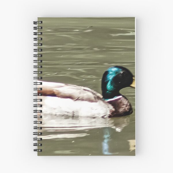 Item preview, Drake Duck swimming in Pond designed and sold by WilesNailsPower.