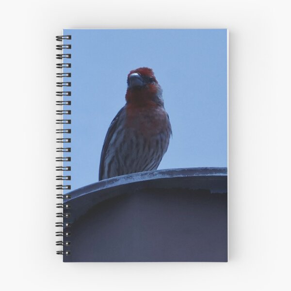 Item preview, House Finch Resting on Rooftop designed and sold by WilesNailsPower.