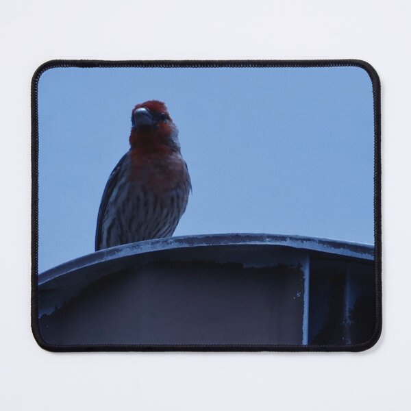 Item preview, House Finch Resting on Rooftop designed and sold by WilesNailsPower.