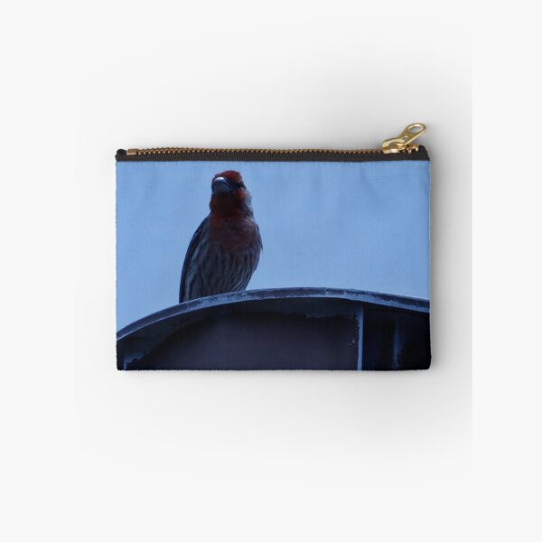 Item preview, House Finch Resting on Rooftop designed and sold by WilesNailsPower.