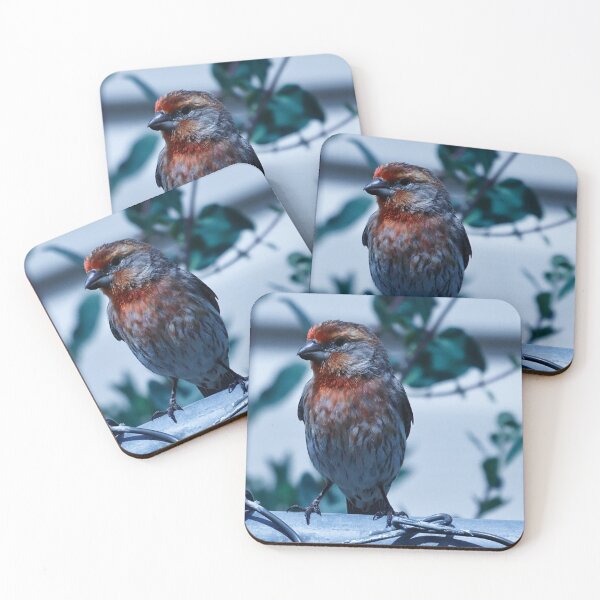 Item preview, House Finch Resting on Fence designed and sold by WilesNailsPower.